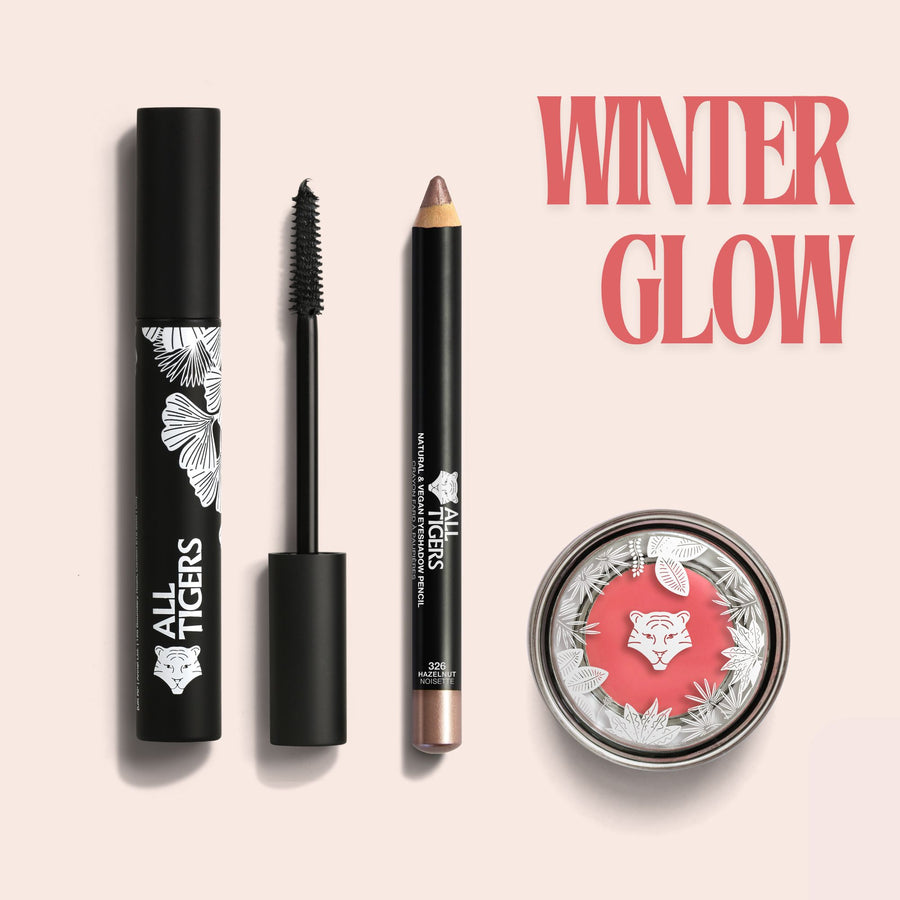 KIT WINTER GLOW - Trio Visage