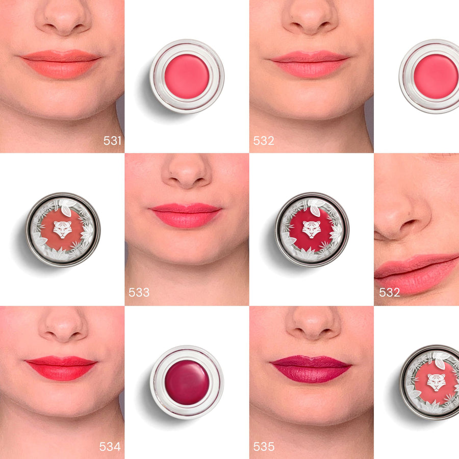 Lips+Blush | 534 Red