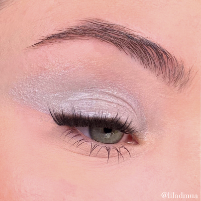 Gris Argent 301