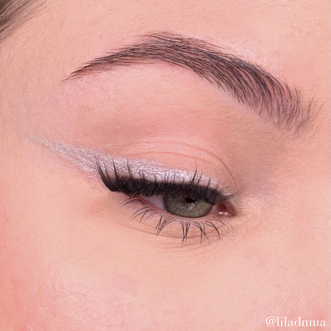 Fard à Paupières Gris Argent - Silver Grey Eyeshadow